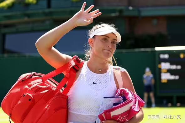 定性因素 定性因素